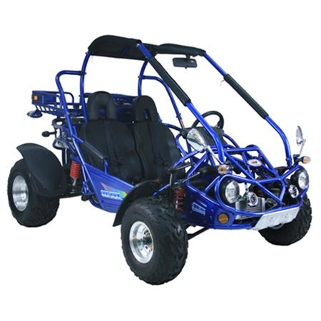 
            
                Load image into Gallery viewer, TrailMaster 300 XRX-E Dune Buggy Go Kart, Fuel Injected
            
        