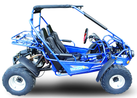 TrailMaster 300E XRS (EFI) Dune Buggy Go Kart, Liquid Cooled, Chain Drive