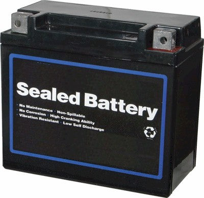 No Hazard Sealed Battery 12V (Large Size)