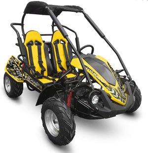 Blazer 200R MID-Size Go Kart, 7.5hp Torque Converter, Electric Start with Reverse KIDS OVER 8 and ADULTS upto 6'1"