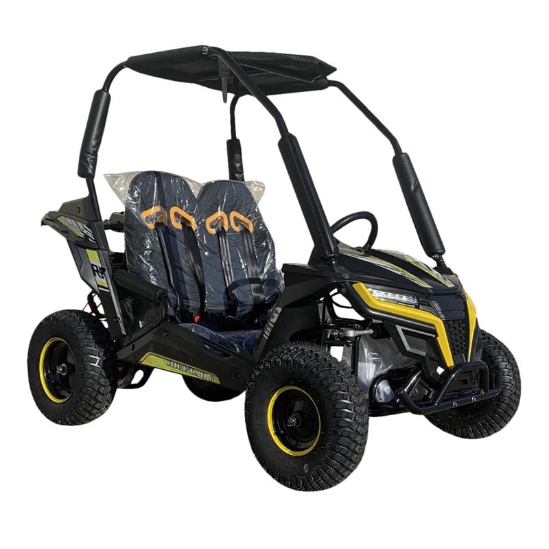 
            
                Load image into Gallery viewer, Cheetah-6 Kids Mini Go Kart, 5.5hp Electric Start, Remote Start/Kill with Reverse
            
        