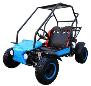 
            
                Load image into Gallery viewer, Coolster RX 125cc Kids Go Kart
            
        