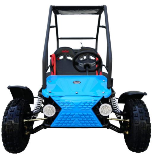 
            
                Load image into Gallery viewer, Coolster RX 125cc Kids Go Kart
            
        