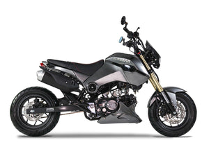 Fuerza 125cc Street Motorcycle
