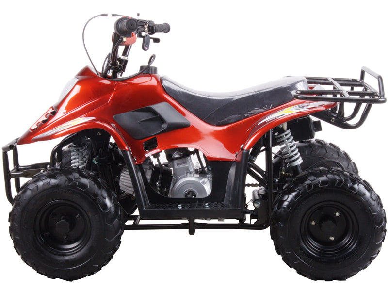
            
                Load image into Gallery viewer, Mini Sport ATV 110, Gas Engine with Remote Start/Kill, Speed Governor 6 inch Wheels BEST ATV FOR KIDS AGES 8-12
            
        
