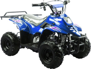 
            
                Load image into Gallery viewer, Mini Sport ATV 110, Gas Engine with Remote Start/Kill, Speed Governor 6 inch Wheels BEST ATV FOR KIDS AGES 8-12
            
        