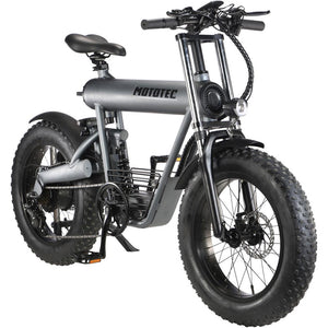 Roadster Electric Bicycle, 48v 500w Lithium, 7-Speed