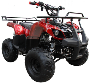 
            
                Load image into Gallery viewer, Mini 110cc Utility ATV, Gas Engine, Parental Remote Control 6 inch Wheels AGES 8-12 TOP SELLER
            
        