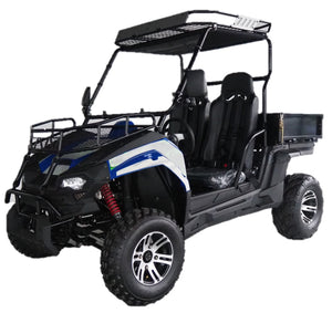 
            
                Load image into Gallery viewer, TrailMaster Challenger 200EUX UTV Side by Side
            
        