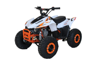 Mini Sport N110 ATV, Automatic with Reverse, 7 inch Wheels
