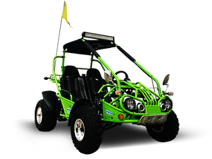 200E XRX (EFI) Fuel Injection Deluxe Buggy Go Kart, Alloy Wheels, Lights, Turn Signals