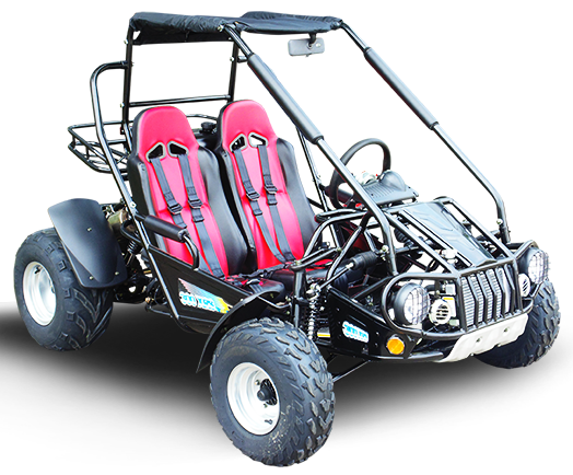 
            
                Load image into Gallery viewer, TrailMaster 300 XRS-E (EFI) Dune Buggy Go Kart
            
        