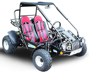 TrailMaster 300 XRS-E (EFI) Dune Buggy Go Kart