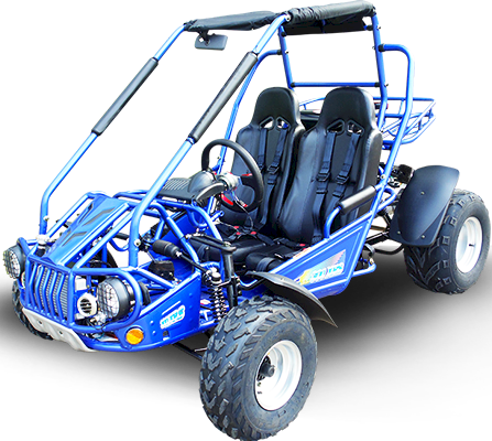 TrailMaster 300E XRS (EFI) Dune Buggy Go Kart, Liquid Cooled, Chain Drive