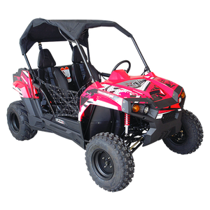 
            
                Load image into Gallery viewer, TrailMaster Challenger 300E (EFI) UTV Side by Side, Liquid Cooled
            
        
