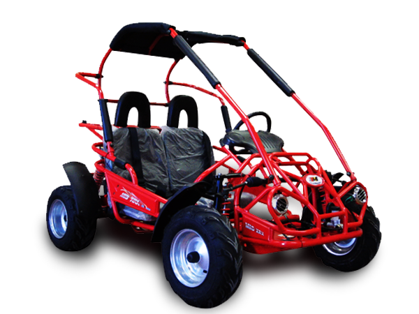 MID-Size XRX-R Go Kart, Electric Start, with Reverse