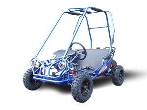 
            
                Load image into Gallery viewer, MINI XRS+ Kids Go Kart, 5.5hp Gas Engine, Dual Seats, Adjustable Pedals, Pull Start AGES 4-12
            
        