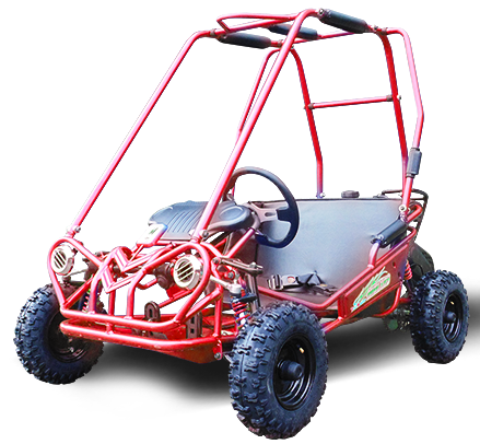 MINI XRS+ Kids Go Kart, 5.5hp Gas Engine, Dual Seats, Adjustable Pedals, Pull Start AGES 4-12