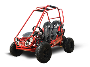 
            
                Load image into Gallery viewer, MINI XRX/R+ Kids Go Kart, 5.5hp Parental Remote Control, with Reverse AGES 4-12
            
        