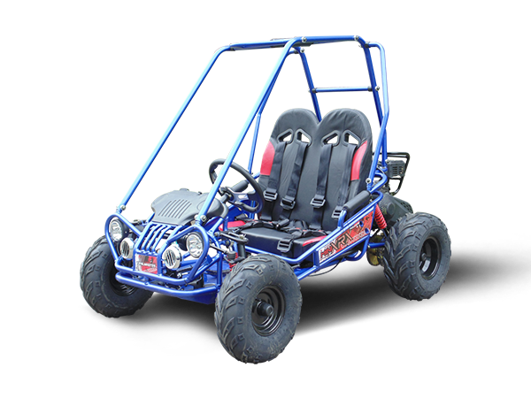MINI XRX+ Kids GoKart, 5.5hp Gas Engine with Electric Start and Remote Start/Kill, AGES 4-12