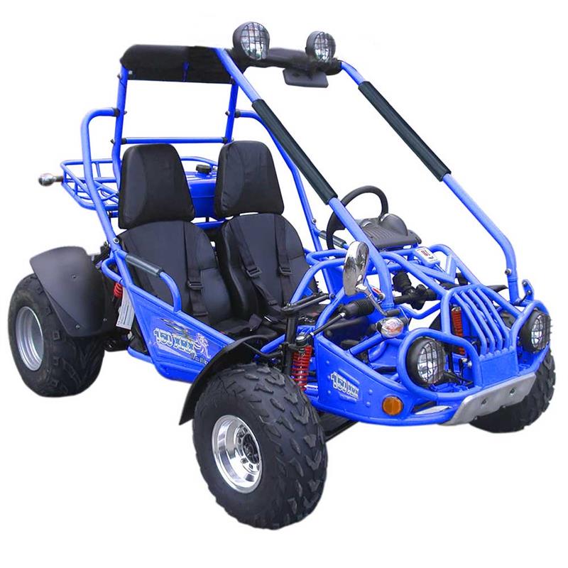 200 XRX Deluxe Buggy Go Kart, Alloy Wheels, Lights, Turn Signals