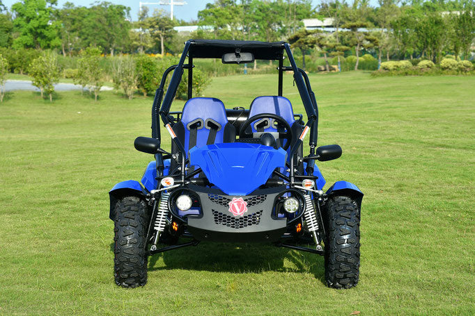 Venture 200 EFI Buggy Go Kart, CVT Transmission with Reverse, Lights, Alloy Wheels