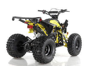 
            
                Load image into Gallery viewer, Blazer9 125cc ATV, Auto with Reverse, 8&amp;quot; Wheels
            
        