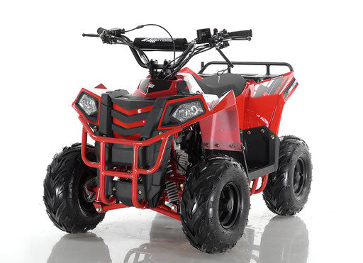 Mini Commander ATV, 110 Full Auto with reverse, CARB Approved