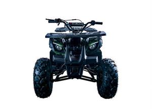 Rider-10 125 ATV, Auto with Reverse, Front Rack, Rear Rack, Deluxe front Bumper