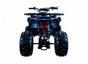 Rider-10 125 ATV, Auto with Reverse, Front Rack, Rear Rack, Deluxe front Bumper