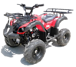 Apollo Rider7 125 Youth ATV, with Reverse, Front Bumper, Rear Rack, 7" Wheels