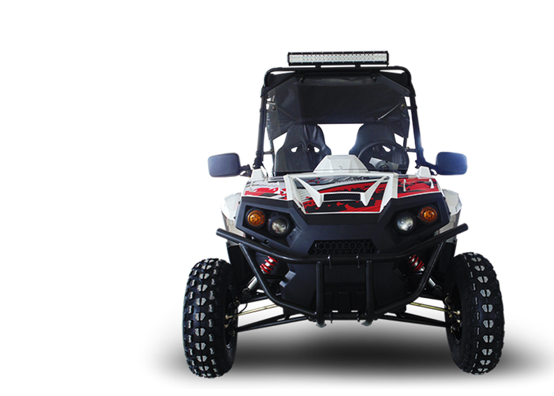 
            
                Load image into Gallery viewer, Challenger 200 UTV Go Kart, for Youth &amp;amp; Adult
            
        