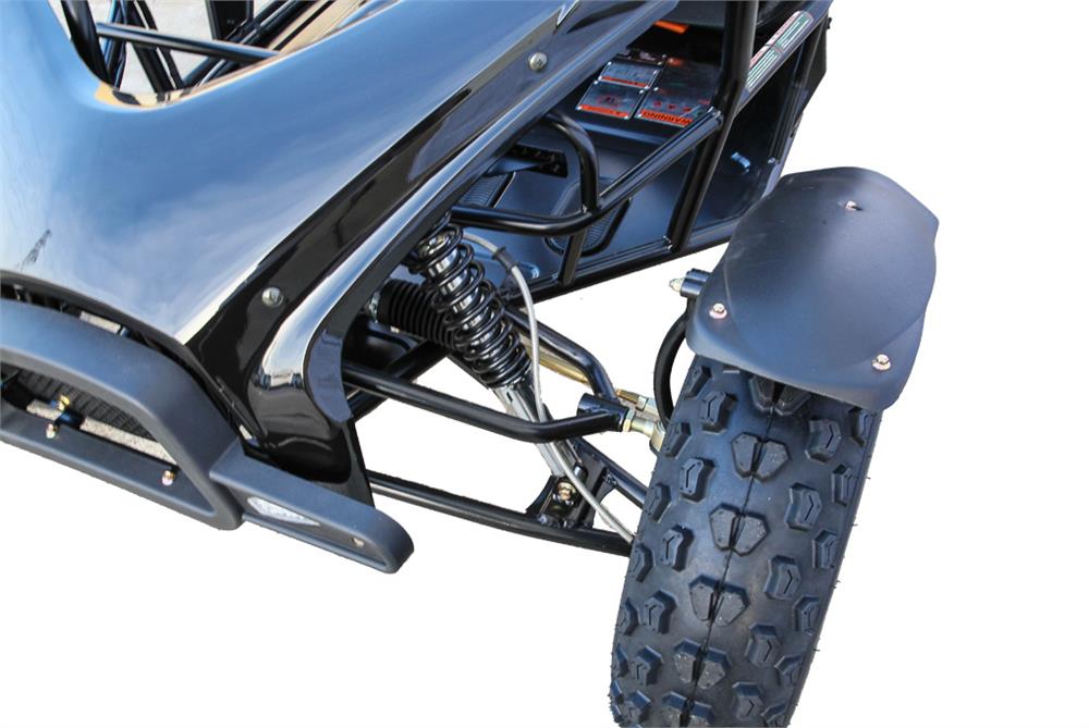 Black Widow Buggy Go Kart, CVT Trans with Reverse, Alloy Wheels, Windshield
