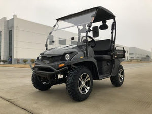 
            
                Load and play video in Gallery viewer, TrailMaster Taurus 200U Gas UTV High/Low Gear-Golf Cart Style UTV, Alloy Wheels
            
        