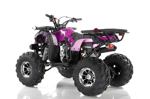 Focus10 DLX 125 ATV, Fully-Automatic with Reverse