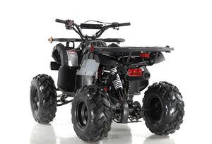 
            
                Load image into Gallery viewer, Focus10 125 ATV, Fully-Automatic with Reverse
            
        