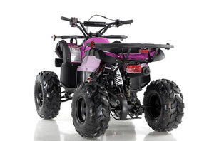 Focus10 125 ATV, Fully-Automatic with Reverse