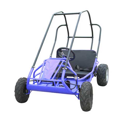 
            
                Load image into Gallery viewer, TrailMaster Mid Size XRS Go Kart 6.5hp
            
        