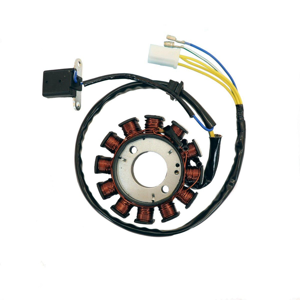 
            
                Load image into Gallery viewer, GY6 12 Coil Stator - DC 164-291
            
        