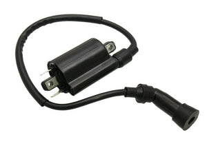 
            
                Load image into Gallery viewer, Linhai 260 Ignition Coil 122-97
            
        