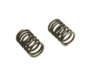 Outer Valve Springs - Set of 2 151-108