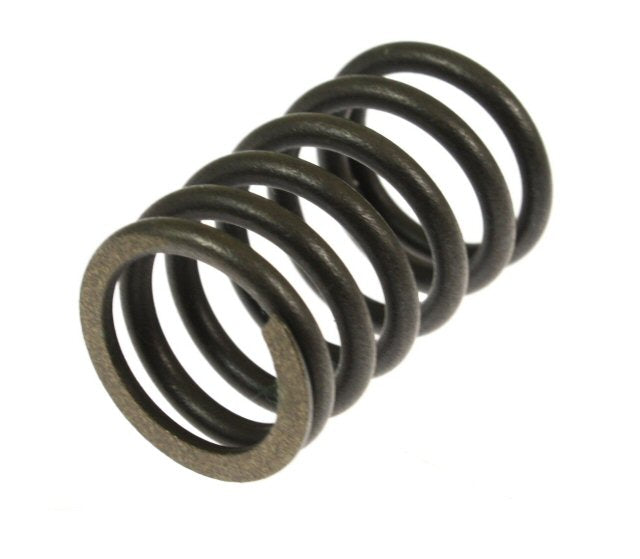 GY6B Outer Valve Spring 165-21