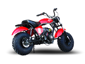 
            
                Load image into Gallery viewer, Monster Dog II Mini Bike, 6.5hp with Torque Converter, Disc Brake
            
        