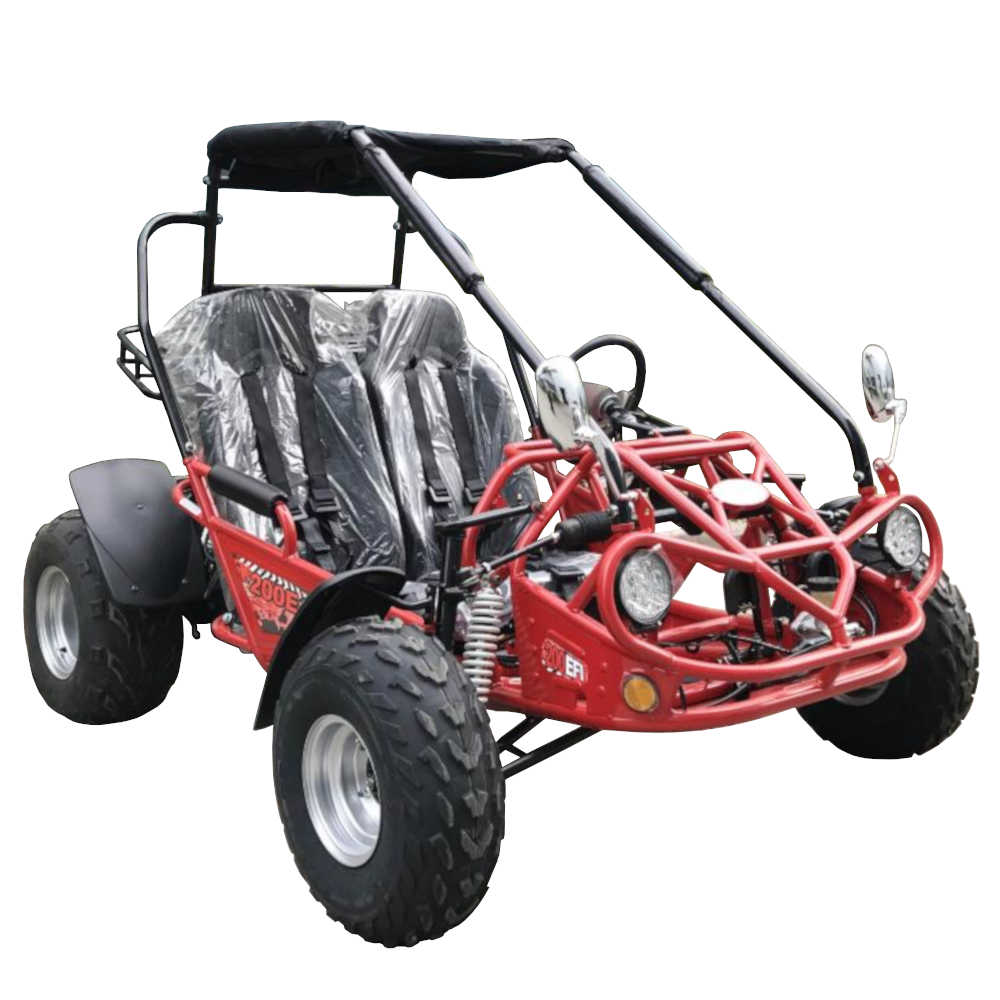 
            
                Load image into Gallery viewer, TrailMaster 200E XRS EFI Go Kart CVT Auto with Reverse
            
        