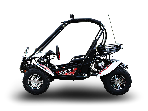 
            
                Load image into Gallery viewer, Blazer 200X Buggy Go Kart, Alloy Wheels, Lights ADULT
            
        