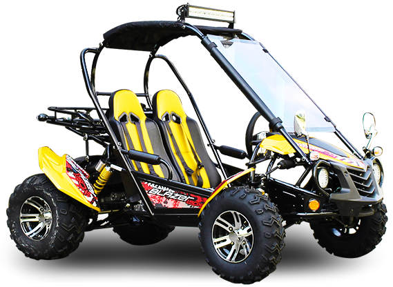 TrailMaster Blazer 200X Buggy Go Kart