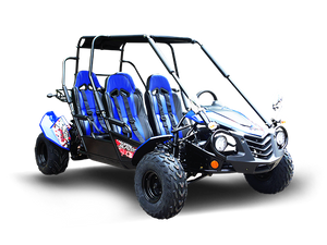 Blazer 200X 4-Seater Buggy Go Kart